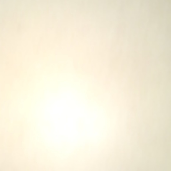 Shorts - Picture 2 of 2